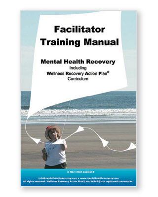 Cover of the Facilitator Training Manual which shows a person on the beach with a kite, the title of the book is in the kite.